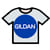 Gildan Youth Tee