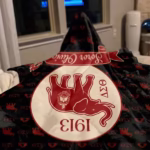 A close-up, casual shot of the personalized Delta Sigma Theta blanket draped in a dimly lit living room, focusing on the 1913 founding year and red elephant logo.